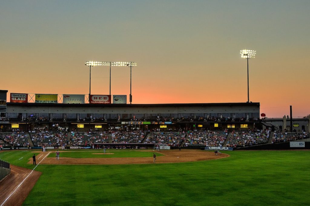 Baseball at Dell Diamond Stadium