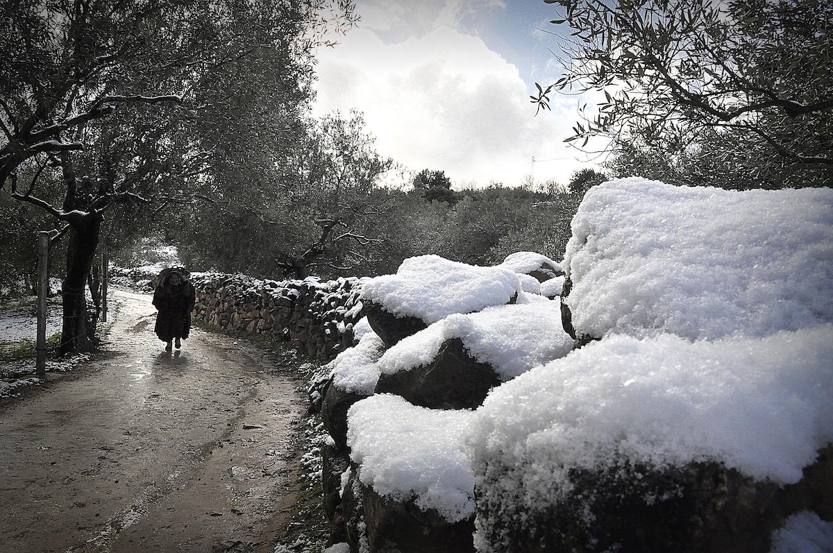 A snowy path in Tunisia with trees and rocks covered in snow, and a person walking along the path.